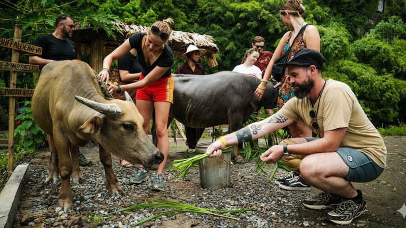 Experience at Buffalo Cave (2)